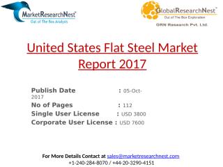 United States Flat Steel Market Report 2017.pptx